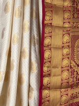 MIMOSA Saree Saree — fleets shot full lifestyle