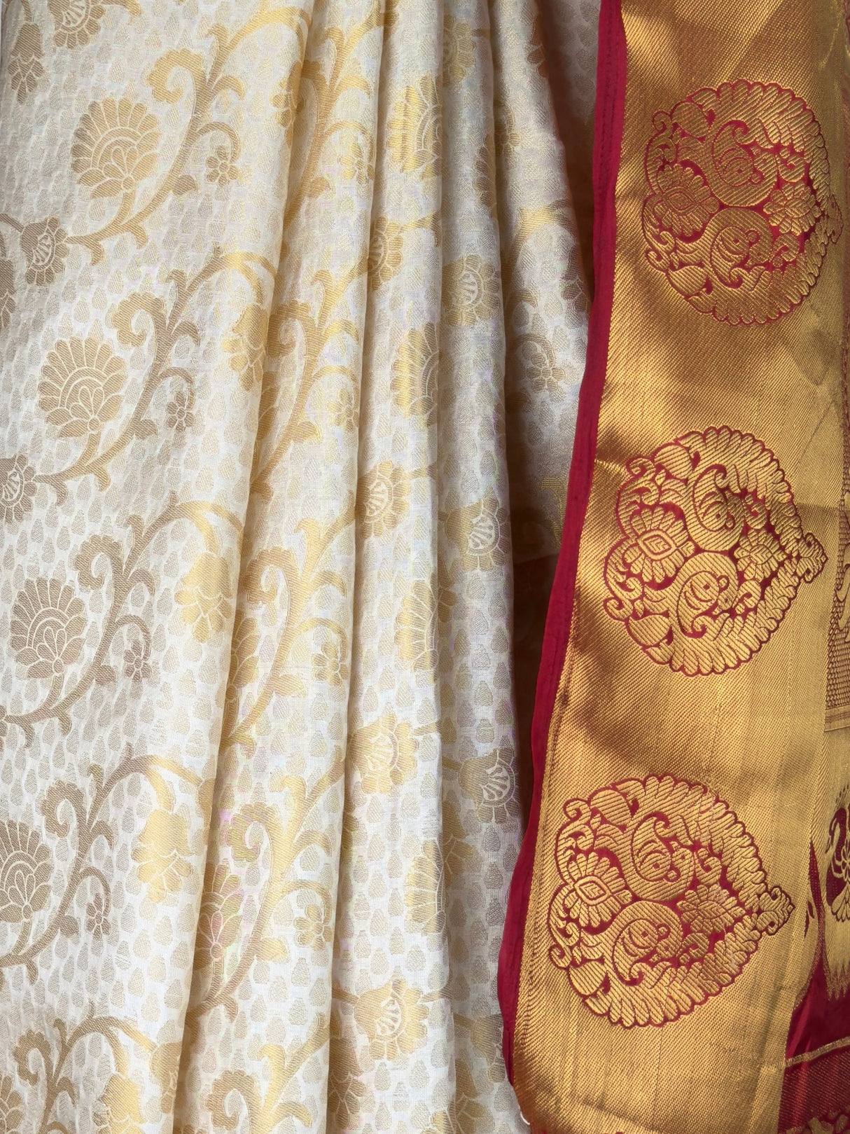 MIMOSA Saree Saree — fleets shot full lifestyle
