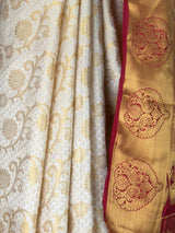 MIMOSA Saree Saree — fleets shot full lifestyle