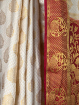 MIMOSA Saree Saree — fleets shot full lifestyle
