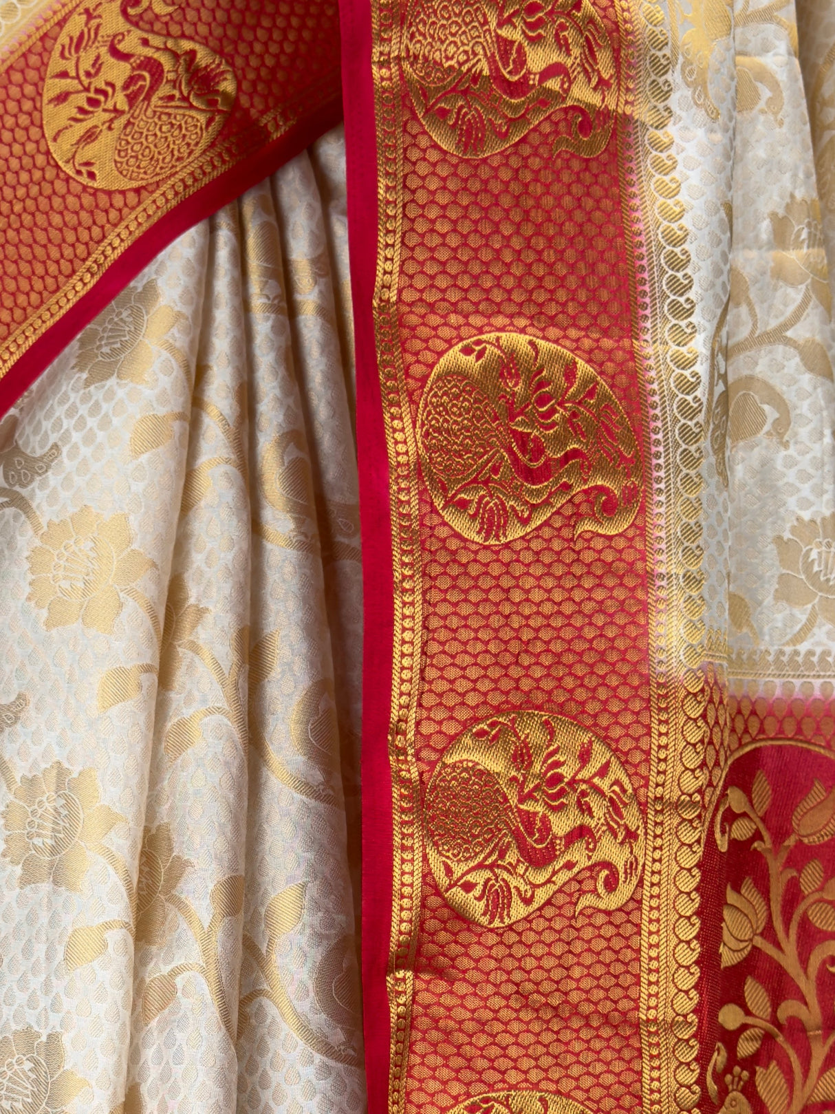 MIMOSA Saree Saree — fleets shot full lifestyle