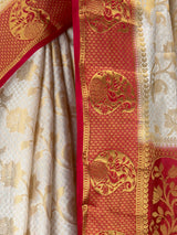 MIMOSA Saree Saree — fleets shot full lifestyle