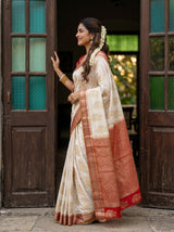 MIMOSA White Kanjivaram Art Silk Saree — close-up of saree body and border