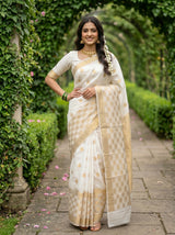 MIMOSA Saree Saree — pose 4 styling detail