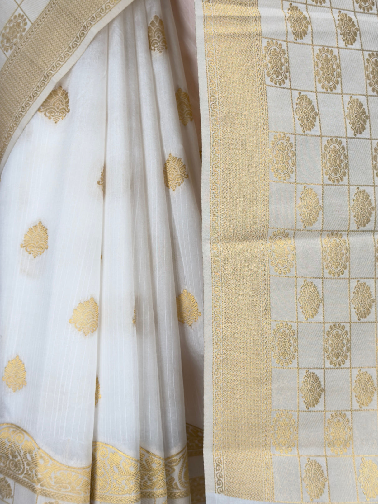 MIMOSA Saree Saree — fleets shot full lifestyle