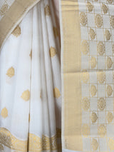 MIMOSA Saree Saree — fleets shot full lifestyle