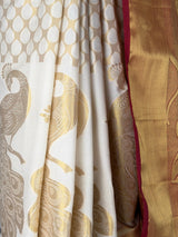 MIMOSA Saree Saree — fleets shot full lifestyle