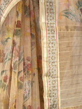 MIMOSA Saree Saree — fleets shot full lifestyle