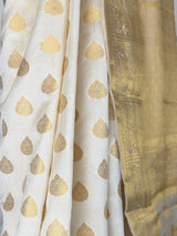 MIMOSA Saree Saree — fleets shot full lifestyle