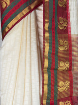 MIMOSA Saree Saree — fleets shot full lifestyle